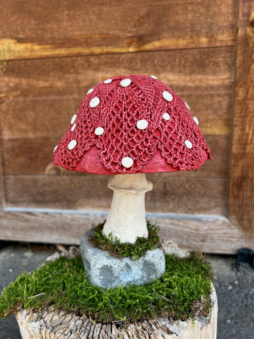 Doily Mushroom