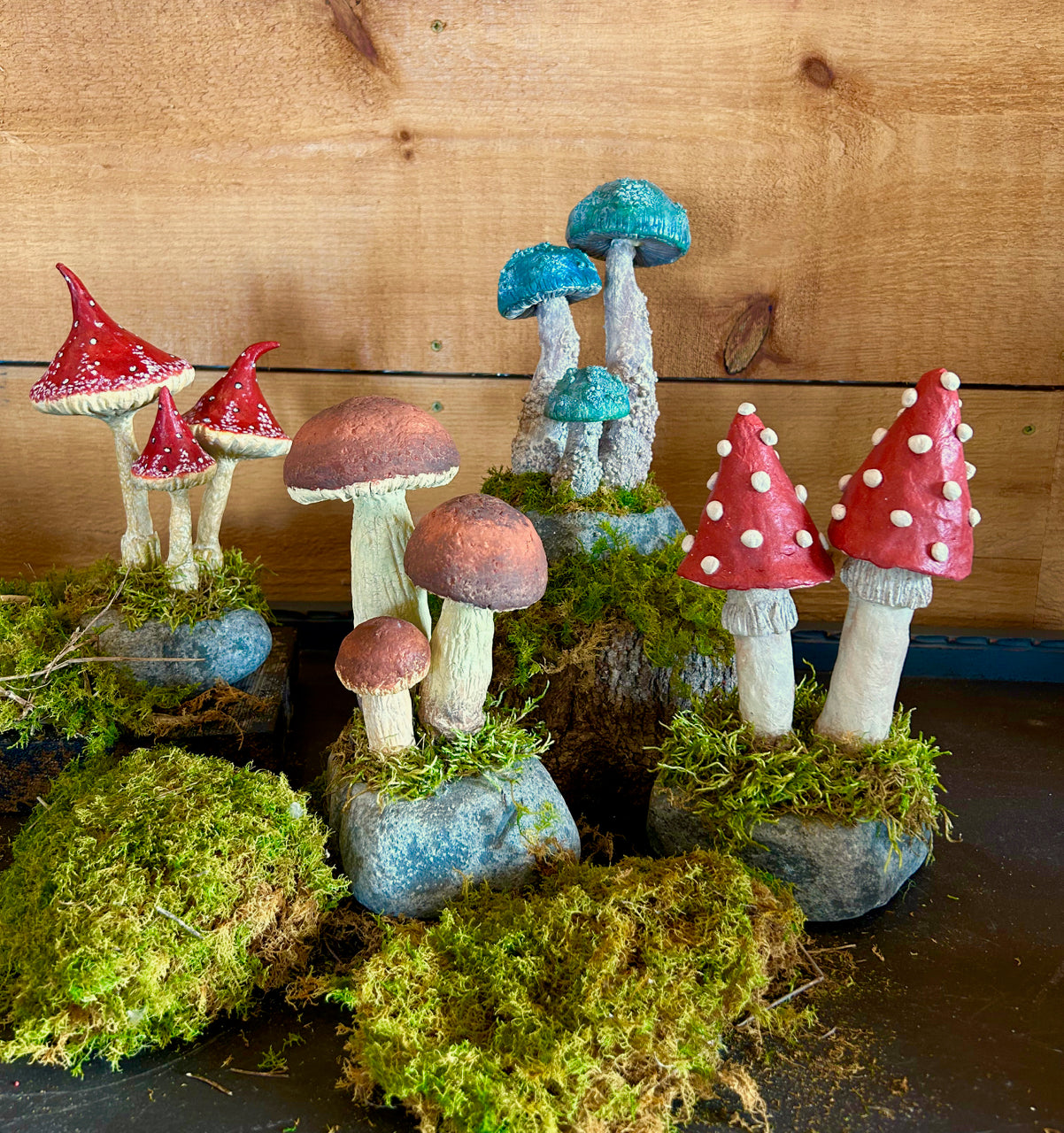 Mushrooms on a stone