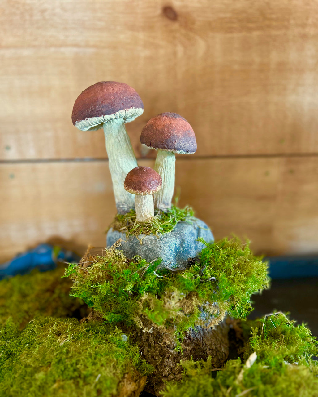 Mushrooms on a stone