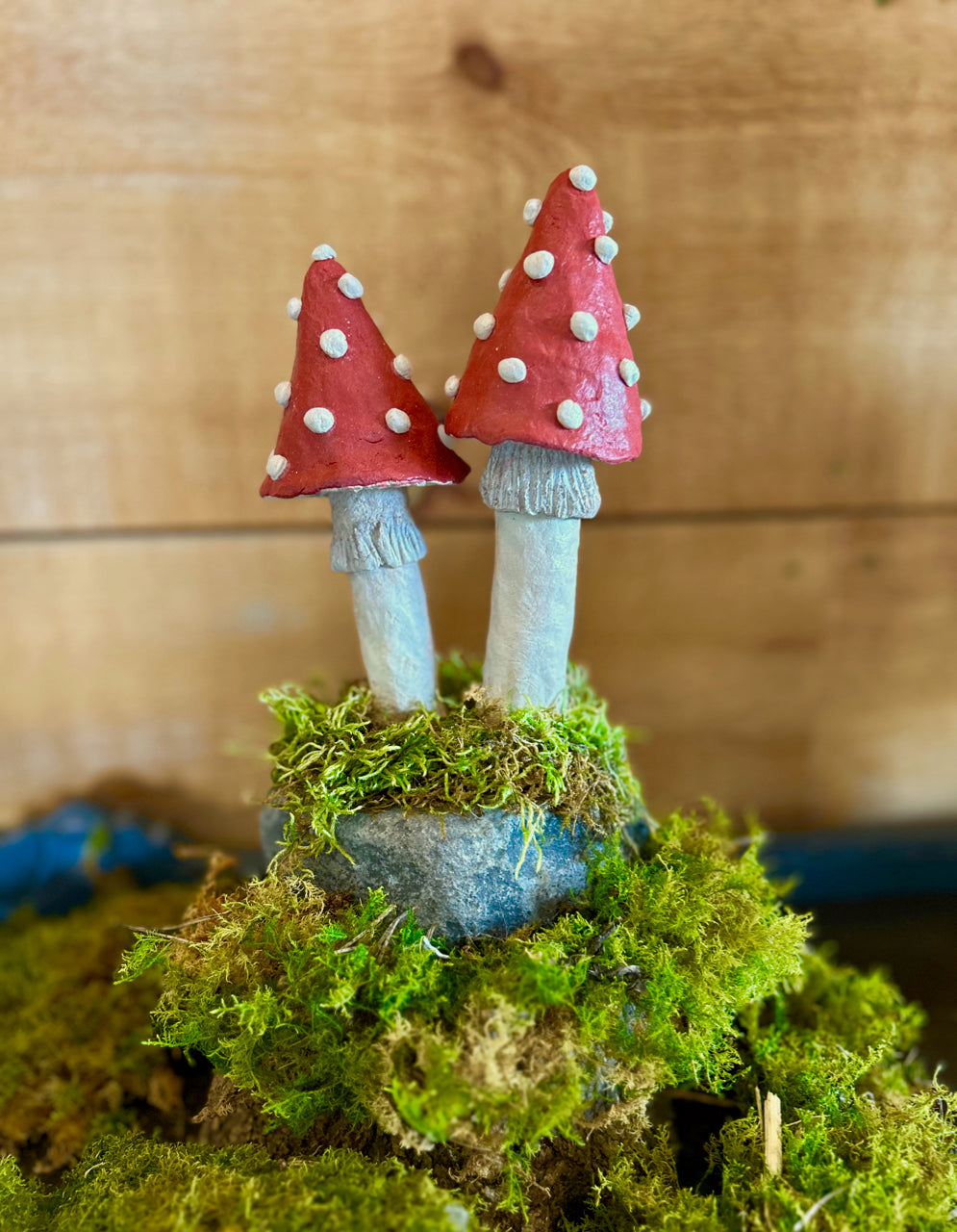 Mushrooms on a stone