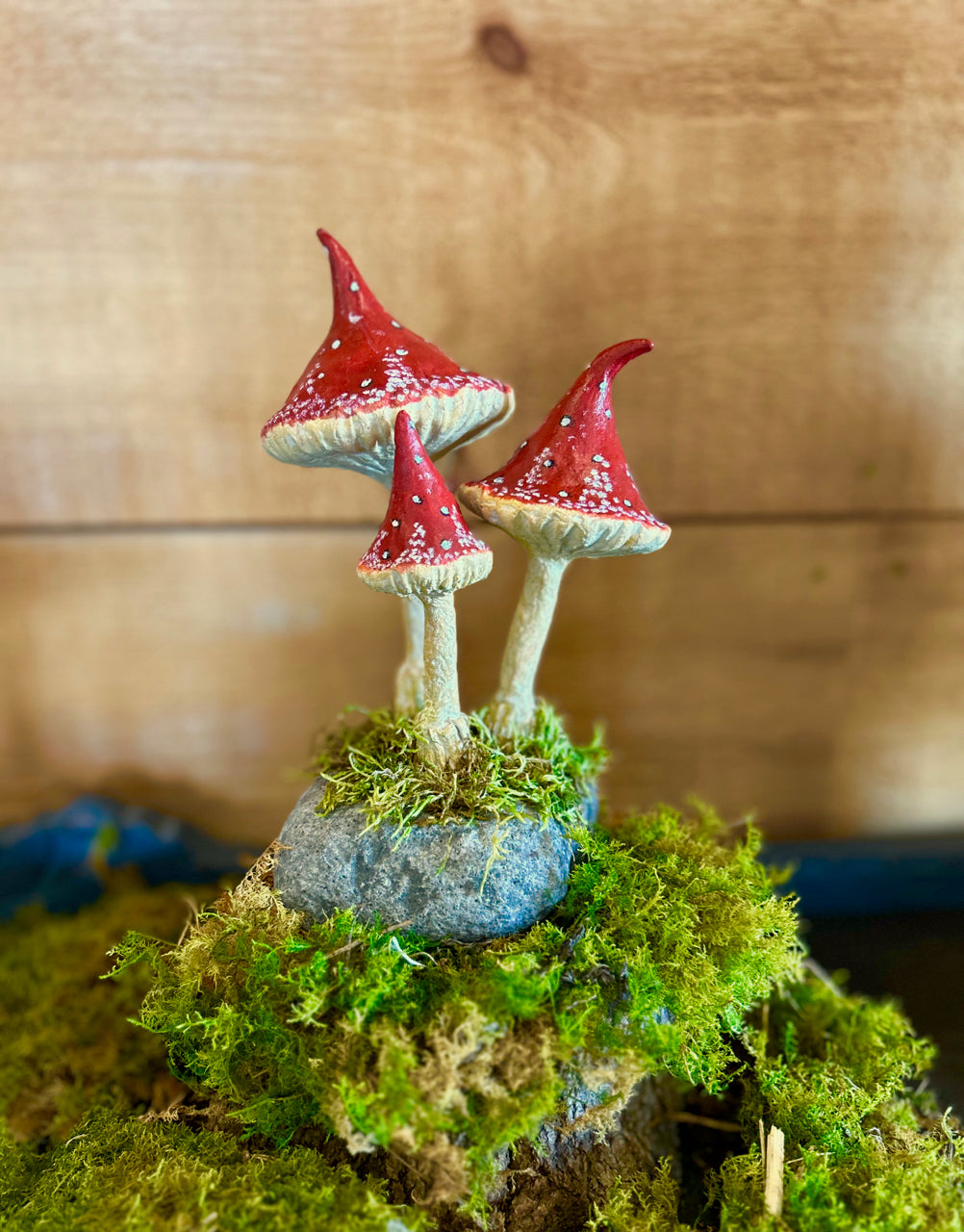 Mushrooms on a stone