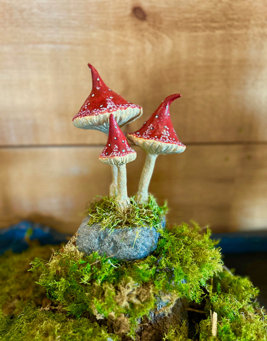 Mushrooms on a stone