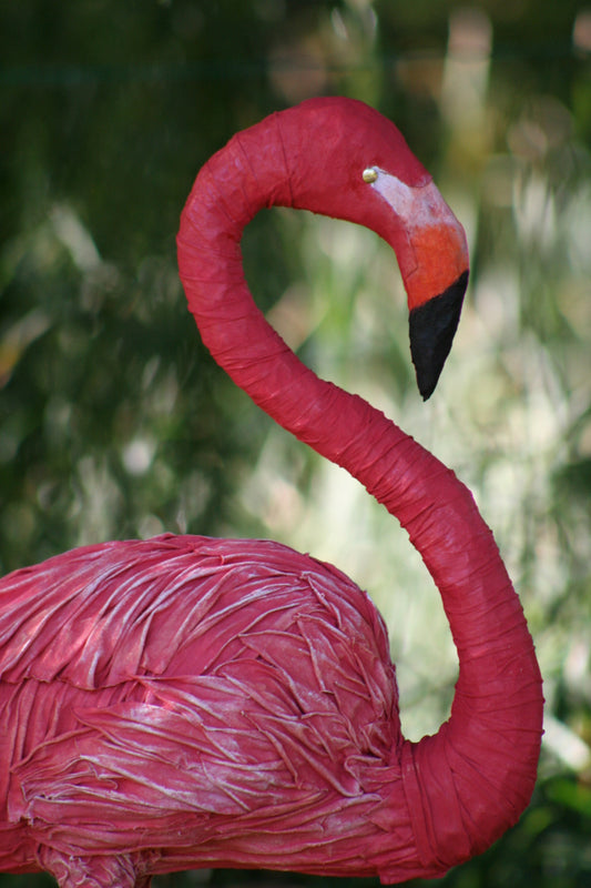 Flamingo 36"