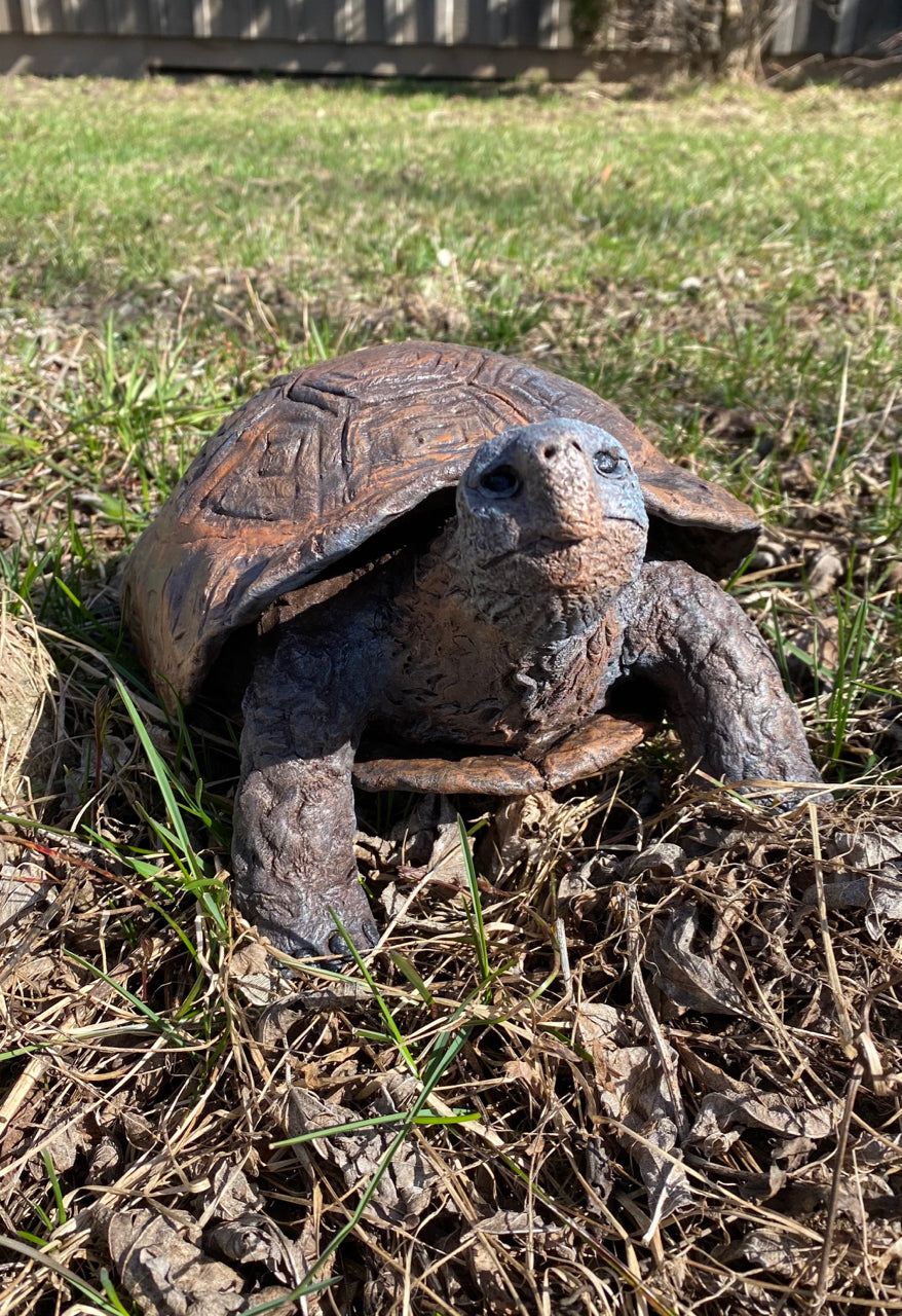 Speedy the Turtle
