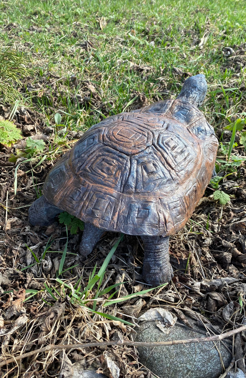 Speedy the Turtle - Discontinued