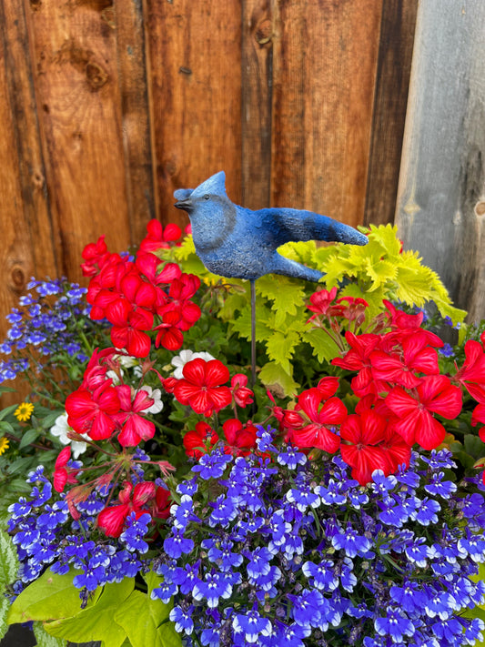 Flying Bird