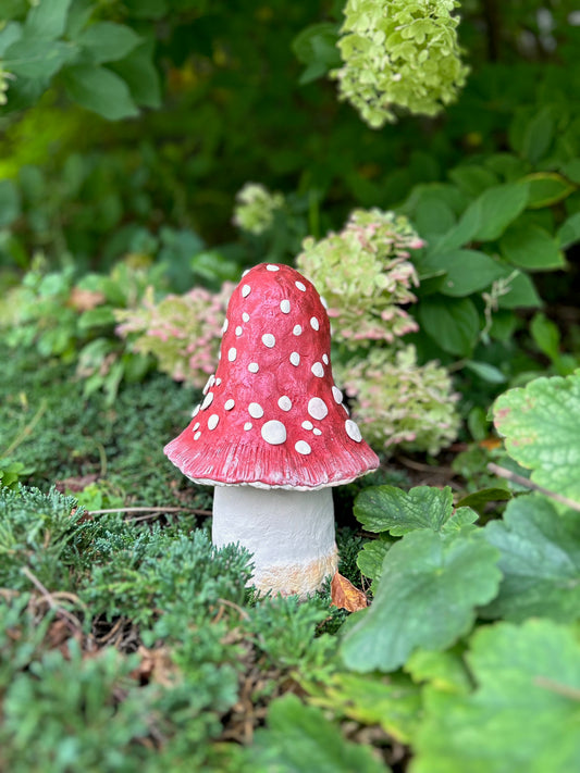 Mushroom with white dots