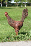 Rooster 24"